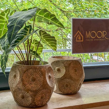 Moor Feeling Apartments فوربسفيديه المظهر الخارجي الصورة