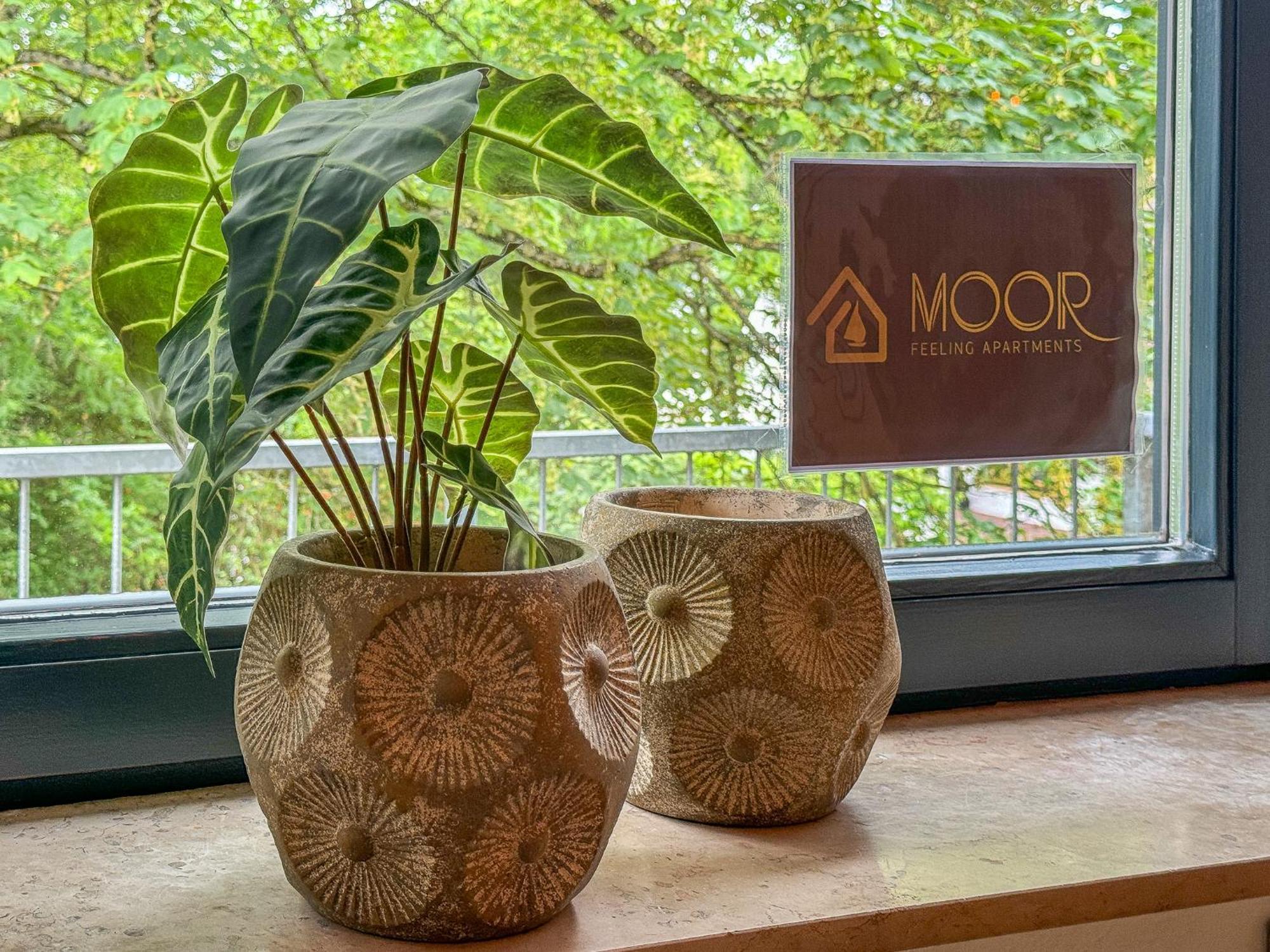 Moor Feeling Apartments فوربسفيديه المظهر الخارجي الصورة